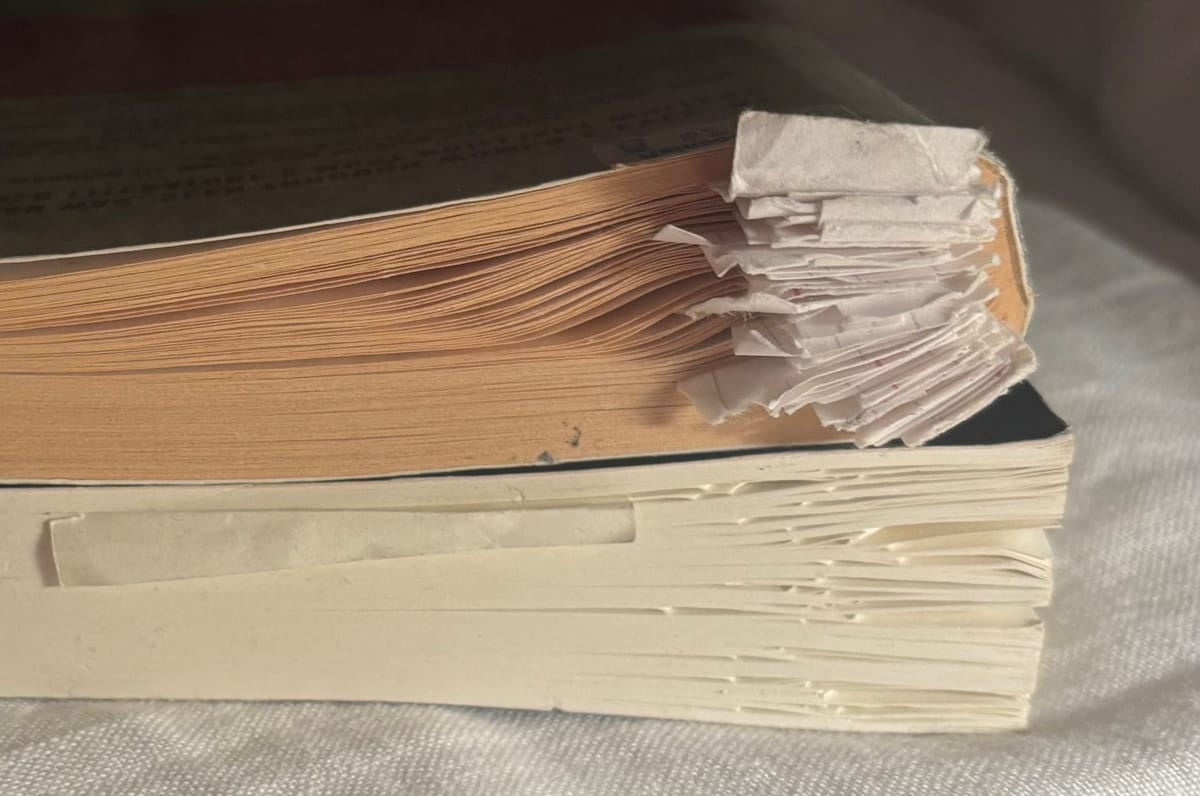 i want to earn back my body’s trust