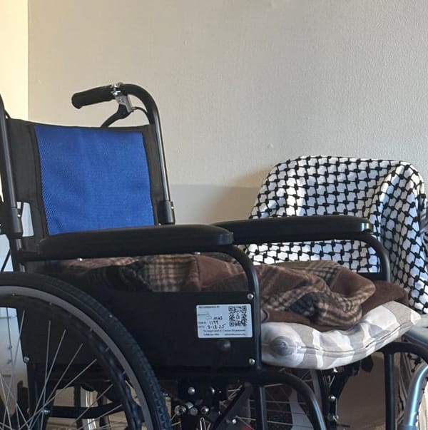 Our Organizing Must Honor the Survival Wisdom of Black and Brown Disabled Femmes